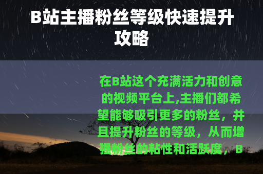 B站主播粉丝等级快速提升攻略