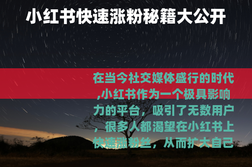 小红书快速涨粉秘籍大公开