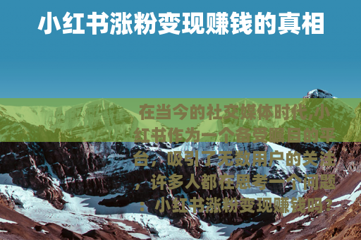 小红书涨粉变现赚钱的真相