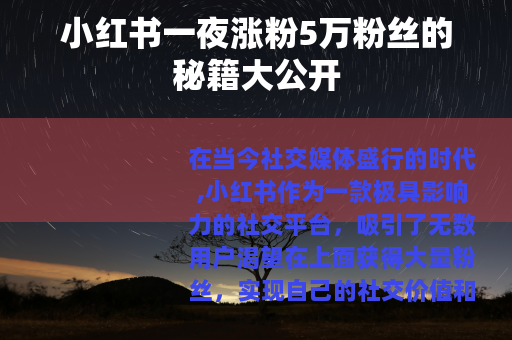 小红书一夜涨粉5万粉丝的秘籍大公开