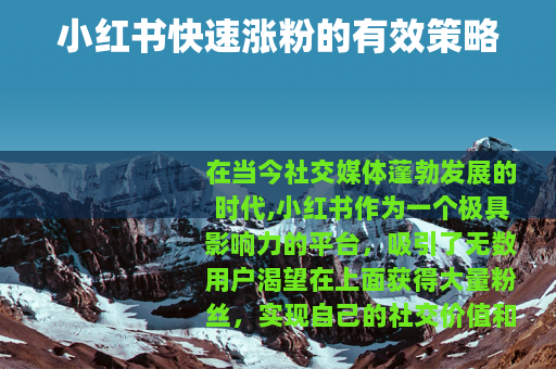 小红书快速涨粉的有效策略