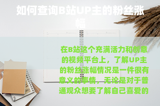 如何查询B站UP主的粉丝涨幅