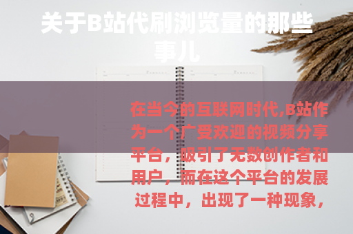 关于B站代刷浏览量的那些事儿