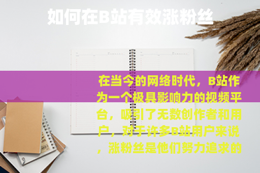 如何在B站有效涨粉丝