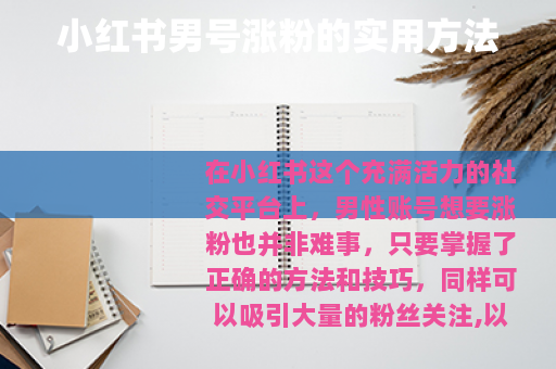 小红书男号涨粉的实用方法