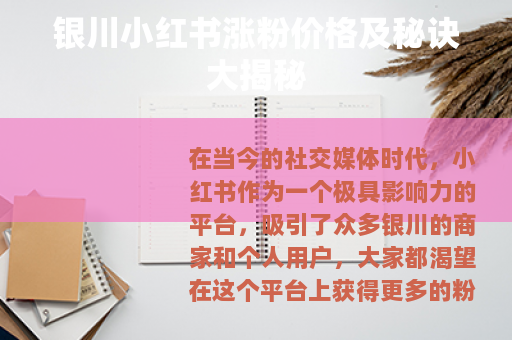 银川小红书涨粉价格及秘诀大揭秘