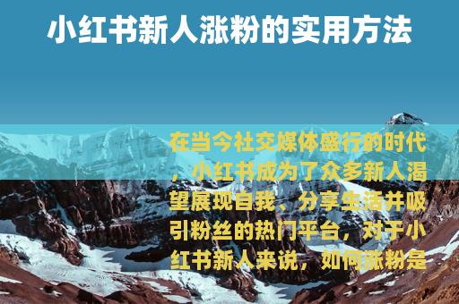 小红书新人涨粉的实用方法