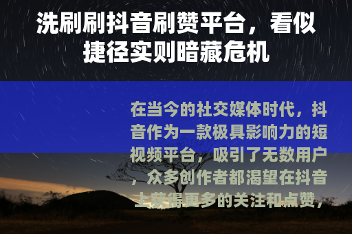 洗刷刷抖音刷赞平台，看似捷径实则暗藏危机