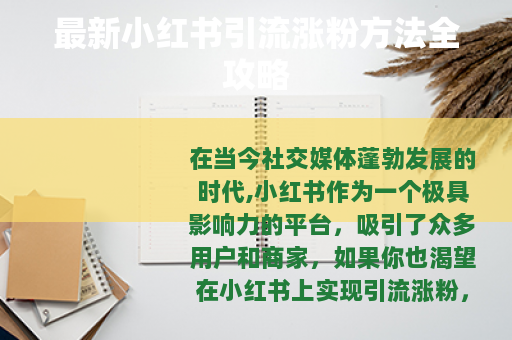 最新小红书引流涨粉方法全攻略
