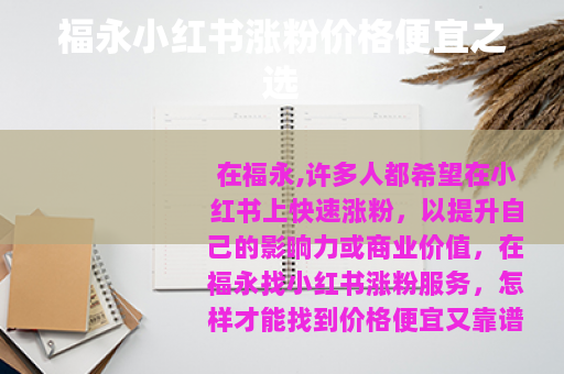 福永小红书涨粉价格便宜之选