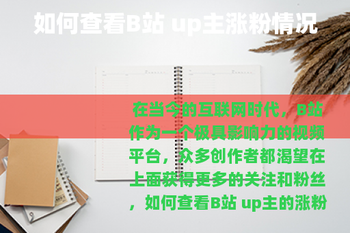 如何查看B站 up主涨粉情况