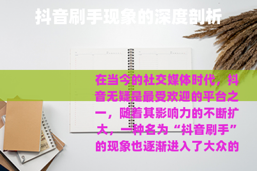 抖音刷手现象的深度剖析