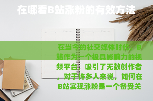 在哪看B站涨粉的有效方法