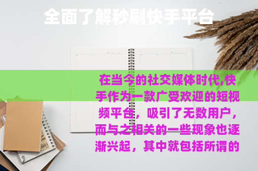 全面了解秒刷快手平台
