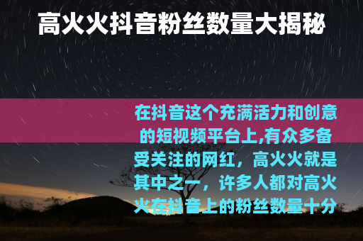 高火火抖音粉丝数量大揭秘