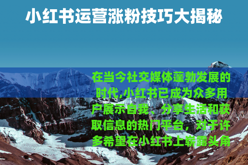小红书运营涨粉技巧大揭秘