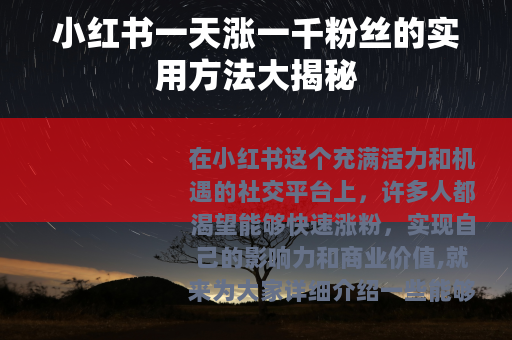 小红书一天涨一千粉丝的实用方法大揭秘