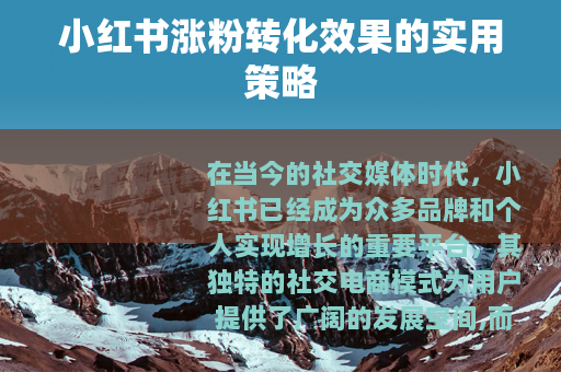 小红书涨粉转化效果的实用策略