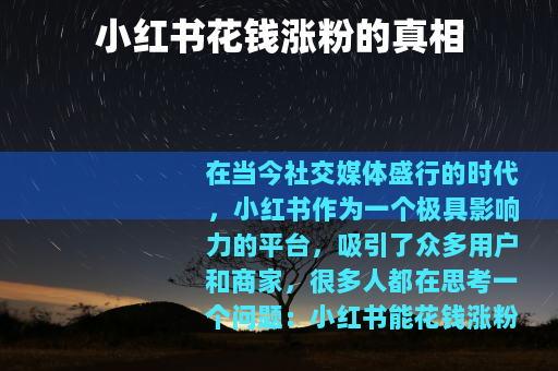 小红书花钱涨粉的真相