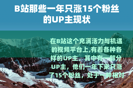 B站那些一年只涨15个粉丝的UP主现状