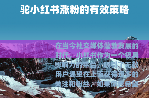 驼小红书涨粉的有效策略