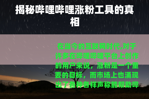 揭秘哔哩哔哩涨粉工具的真相