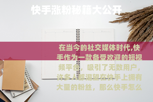 快手涨粉秘籍大公开