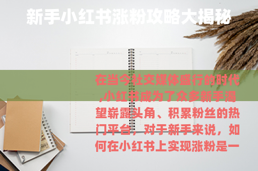 新手小红书涨粉攻略大揭秘