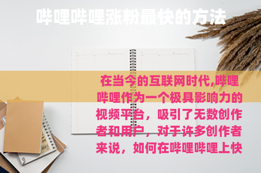 哔哩哔哩涨粉最快的方法