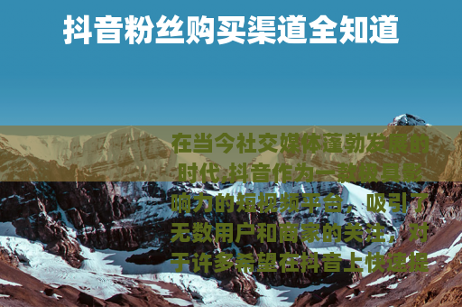 抖音粉丝购买渠道全知道