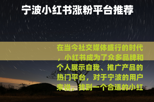 宁波小红书涨粉平台推荐