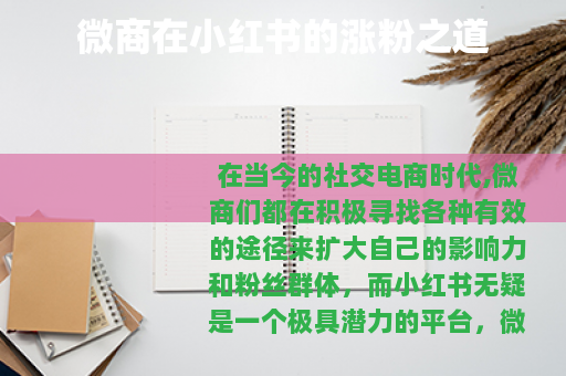 微商在小红书的涨粉之道