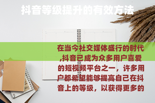 抖音等级提升的有效方法