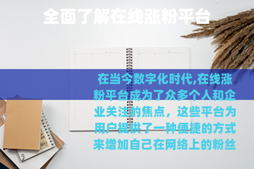 全面了解在线涨粉平台