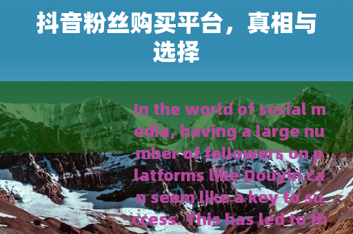 抖音粉丝购买平台，真相与选择