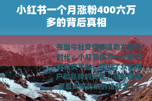 小红书一个月涨粉400六万多的背后真相