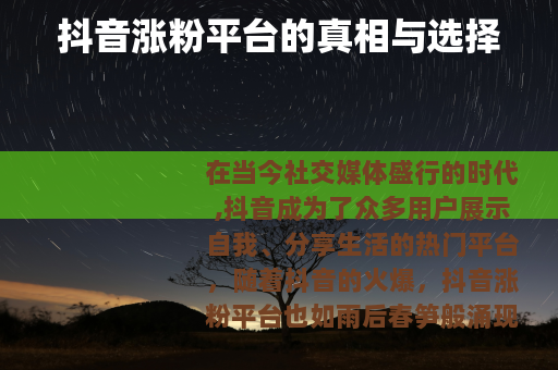抖音涨粉平台的真相与选择