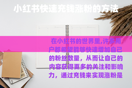 小红书快速充钱涨粉的方法