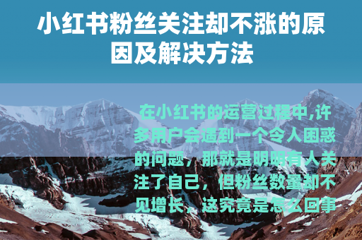 小红书粉丝关注却不涨的原因及解决方法