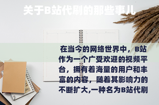 关于B站代刷的那些事儿