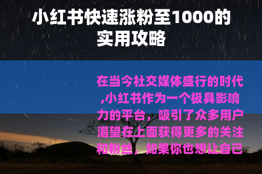 小红书快速涨粉至1000的实用攻略