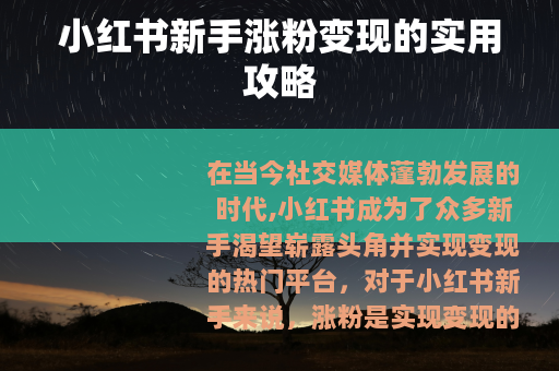小红书新手涨粉变现的实用攻略
