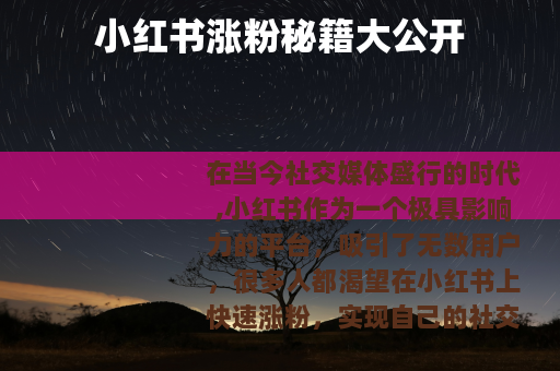 小红书涨粉秘籍大公开