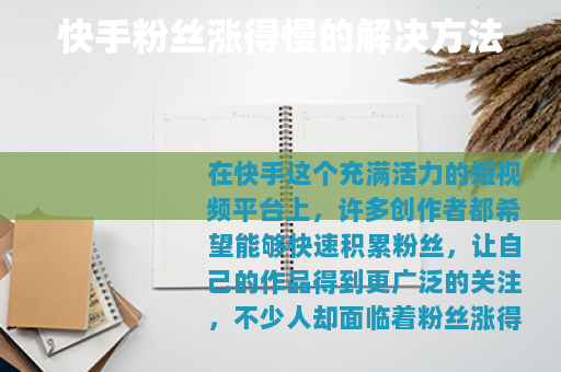 快手粉丝涨得慢的解决方法