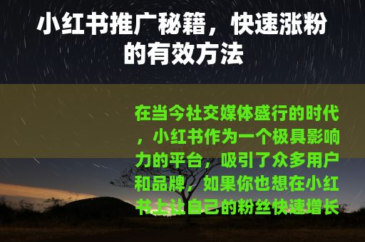 小红书推广秘籍，快速涨粉的有效方法