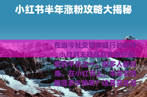 小红书半年涨粉攻略大揭秘